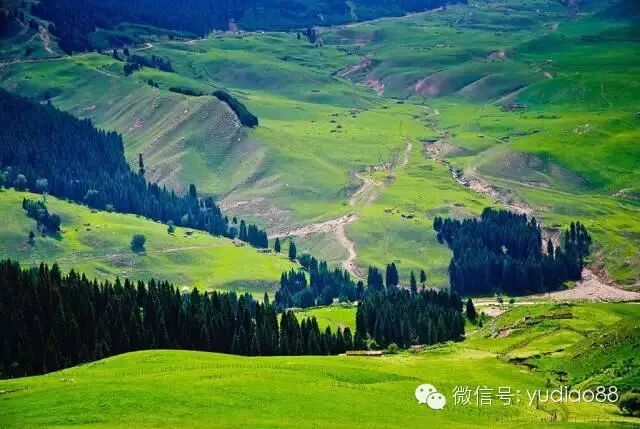 十种最养生的珠宝玉石(图9) 十种最养生的珠宝玉石(图9)